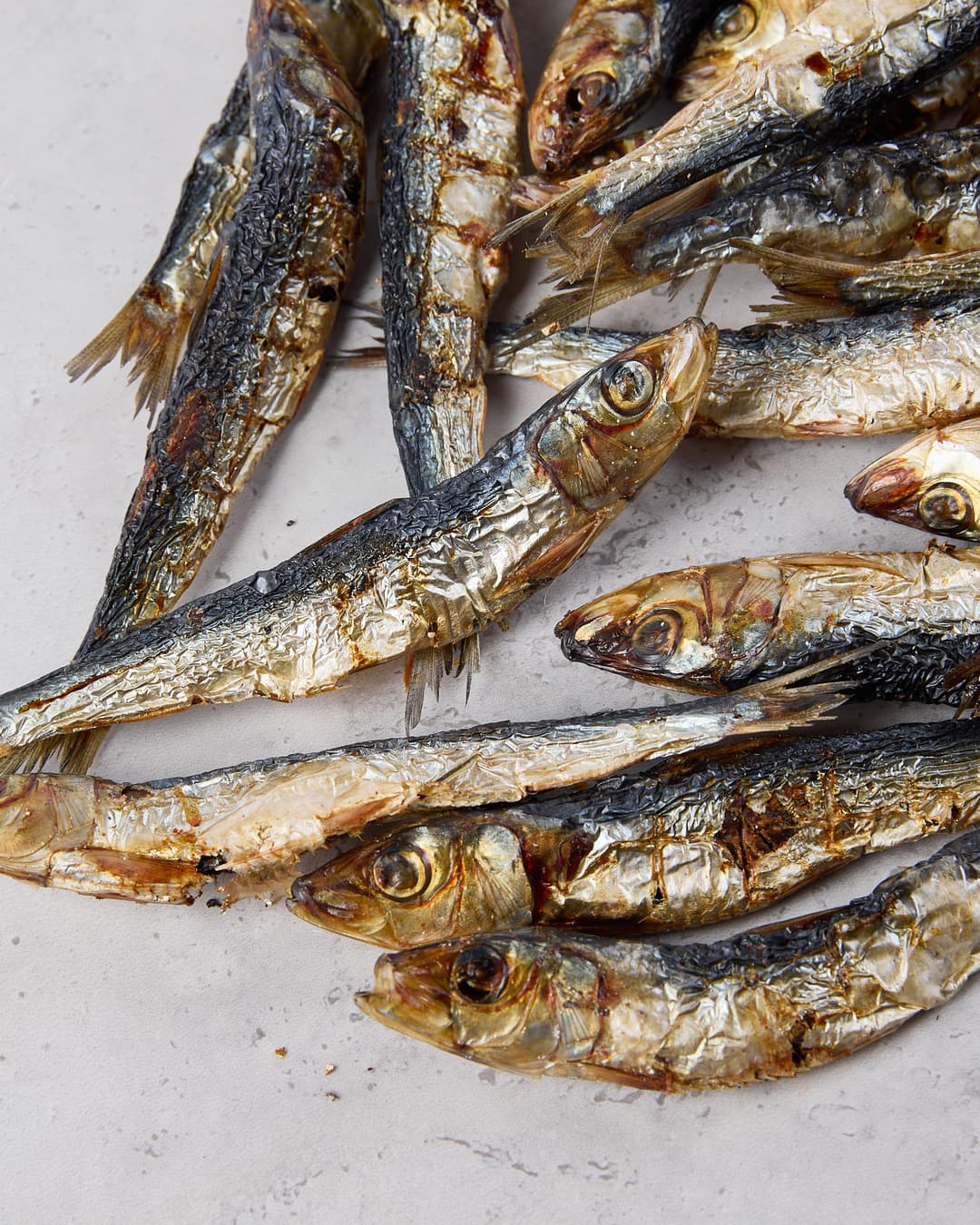 What Diet Do Dogs Really Want to Eat? A Guide to Their Natural Preferences