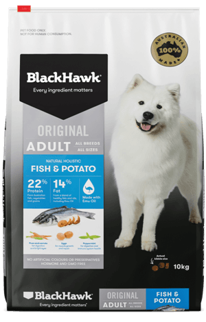 Black Hawk Original Adult, Fish & Potato