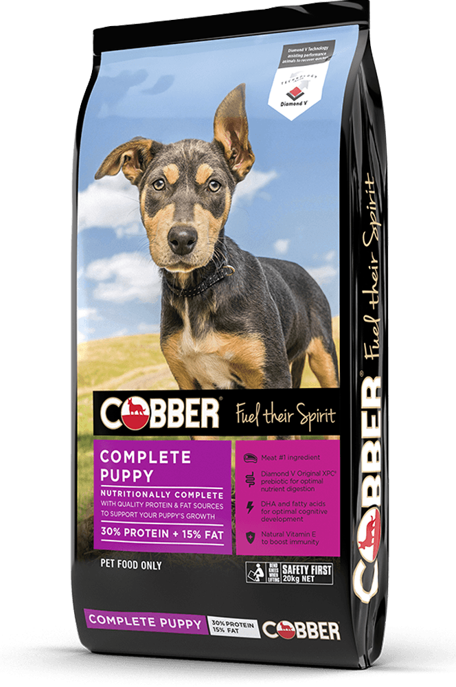 Cobber Complete Puppy